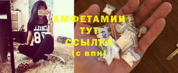 прущий лед Богданович